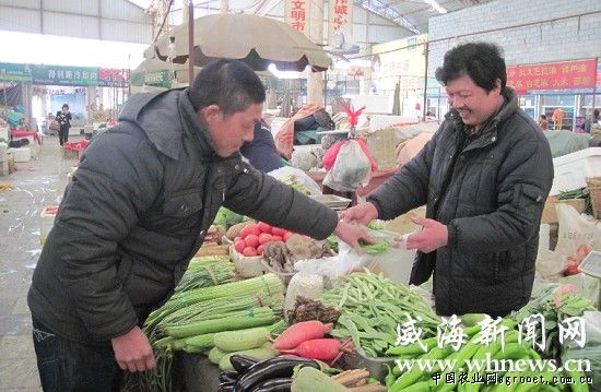 华南205木薯施肥技术