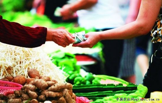 山东烟台福山：蔬菜价格连续上涨