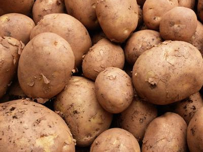 红薯种植高产技术