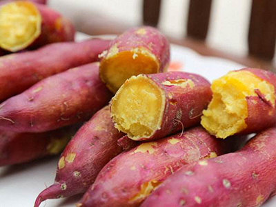 土豆种子多少钱一斤