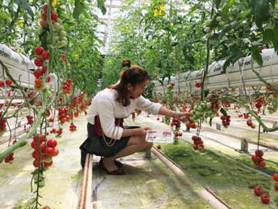 普罗旺斯番茄制品(天津)有限公司