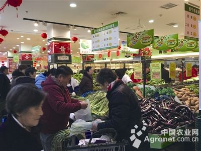 中国魔芋产业网