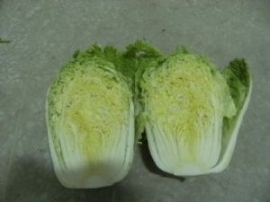 供应白菜