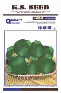 供应绿翠珠F1—西葫芦种子