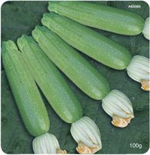 绿安娜—法国西葫芦种子