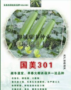 供应国美301—西葫芦种子